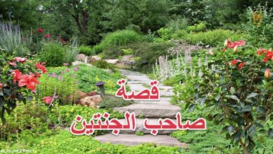 صاحب الجنتين القصة المذكورة بسورة الكهف.