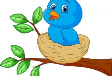 عصفور في عشه