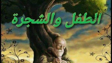 رجل عجوز و شجرة