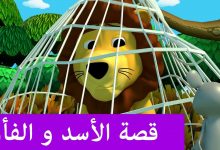 قصص