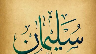 قصص الأنبياء "سليمان"